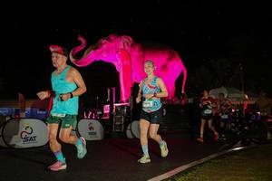 BIB: 
                            <button type="button" onclick="openModal(26543553)" class="btn btn-primary btn-sm float-right btn-popup" data-toggle="modal" data-target=".modal-high-quality">
                        <i class="fas fa-shopping-cart"></i> Add to Cart
                    </button>
                                            <button type="button" onclick="isThisMe(26543553, true)" class="btn btn-success btn-sm float-right btn-popup btn-isme hidden" data-toggle="tooltip" data-placement="bottom" title="นี่คือรูปของคุณใช่ไหม คลิกที่นี่เพื่อเอาเข้าอัลบั้ม">
                        <i class="fas fa-plus"></i> Add to album
                    </button>
                    <button type="button" onclick="isThisMe(26543553, false)" class="btn btn-warning btn-sm float-right btn-popup btn-isnotme hidden">
                        <i class="fas fa-ban"></i> Remove from album
                    </button>